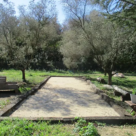 Au Charme De Pepiole Bed & Breakfast Six-Fours-les-Plages